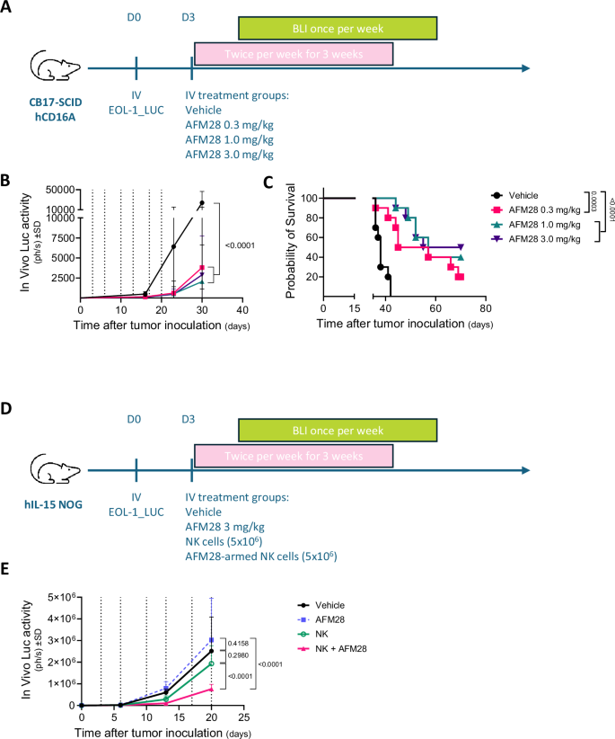 Fig. 6: In vivo anti-leukemic activity of AFM28 against a human AML cell line.