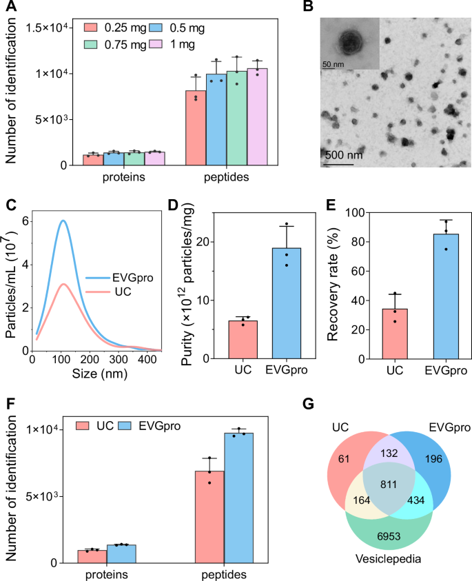 Fig. 2: Comparison between UC and EVGpro nanochains for capturing seminal plasma EVs and EV proteins.