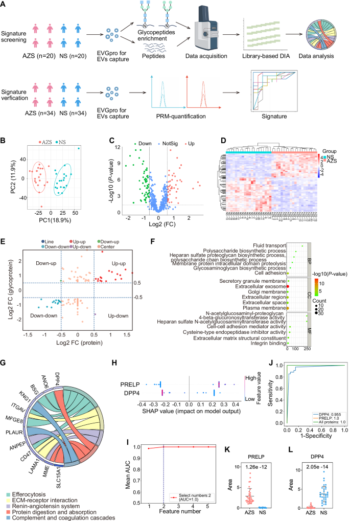 Fig. 6: The seminal plasma EV proteomic and N-glycoproteomic landscapes of AZS and their verification by PRM.