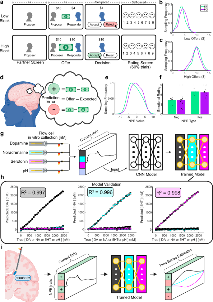 Fig. 1: Experimental design and electrode model.