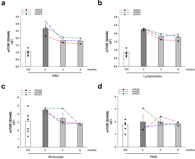 Fig. 5: Ataluren reduced the levels of phospho-mTOR (S2248) in leukocytes from patients with SDS.