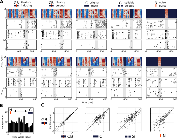 The zebra finch auditory cortex reconstructs occluded syllables in ...