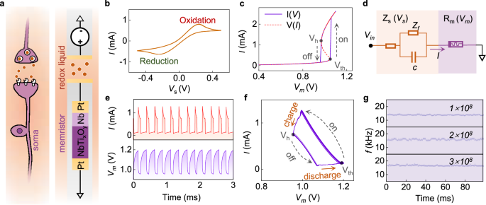 Fig. 1: Structure, properties, and stability of hybrid artificial neuron.