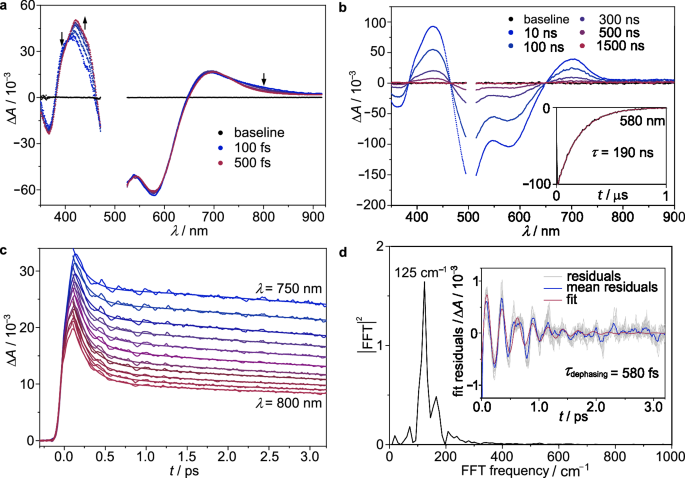 Fig. 3: Transient absorption spectroscopy.