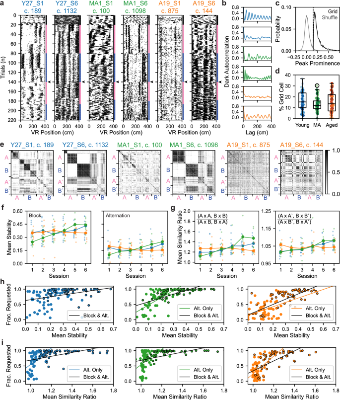 Fig. 2: Formation of stable and orthogonal spatial activity patterns across VR contexts relates to dynamic spatial memory.