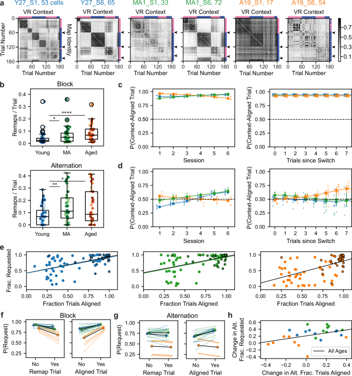 Fig. 3: Grid network remapping is more frequent but less aligned to context in aged mice.