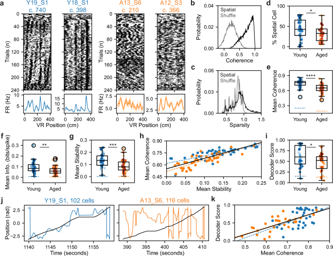 Fig. 5: Aged mice in stable VR environments exhibit spatial cell instability that impairs position decoding.