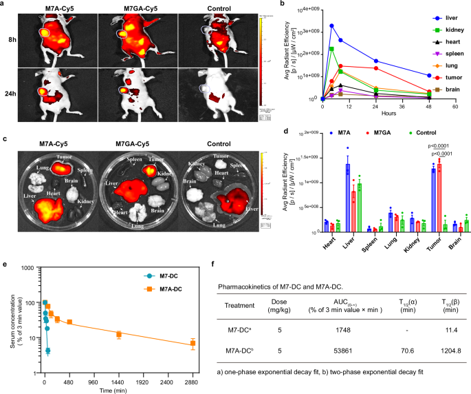 Fig. 5: Biodistribution and pharmacokinetic analysis.
