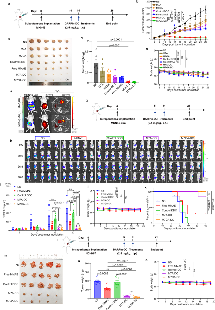 Fig. 6: In vivo antitumor activity of M7A-DC and M7GA-DC in MSLN-positive xenograft model.
