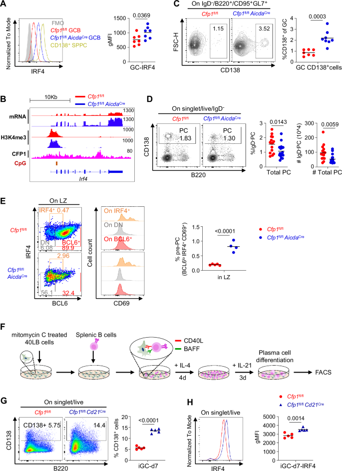 Fig. 5: Cfp1 deletion promotes differentiation of GCB into plasma cells.