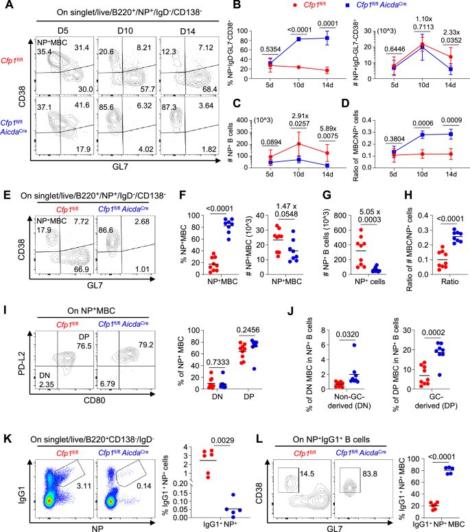 Fig. 6: Cfp1-deficient GCB cells have greater propensity to differentiate into memory B cells.