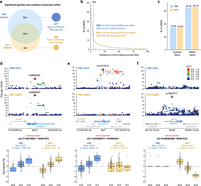 Fig. 3: Condition-specific sQTL discovery in resting and activated chondrocytes.