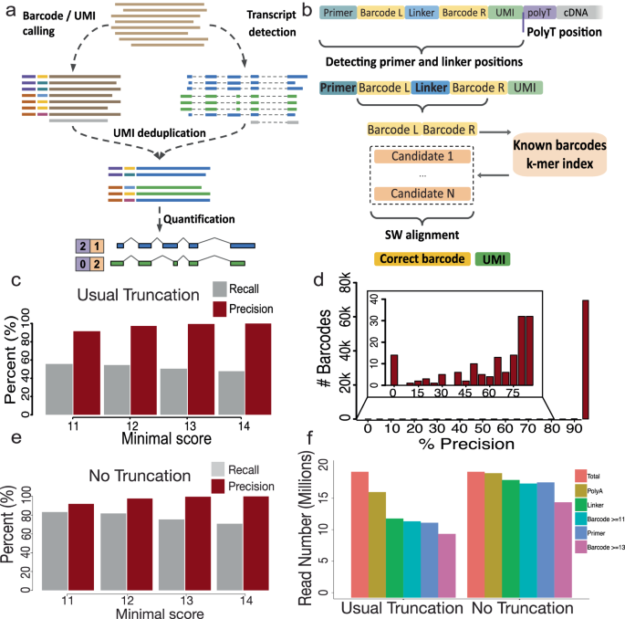 Fig. 3: Spl-ISO-quant enables long-read analysis including highly specific barcode deconvolution.