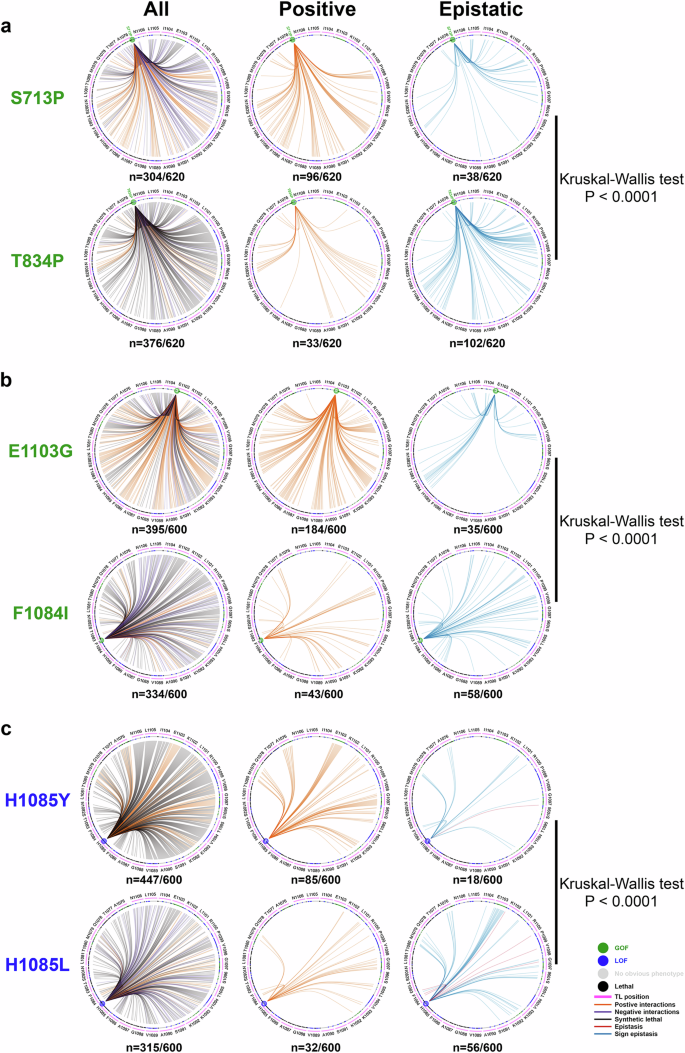 Fig. 5: Interaction networks of selected probe mutants.