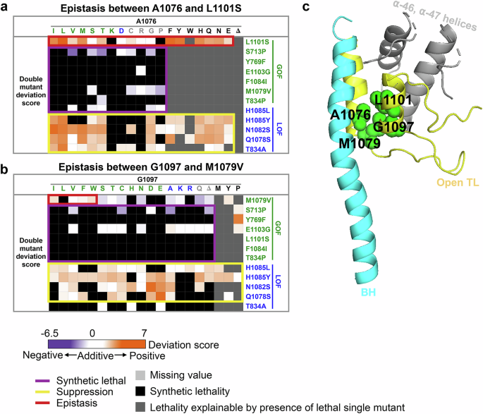 Fig. 6: Pol II TL interaction landscape reveals functional dependency of proximal residues.
