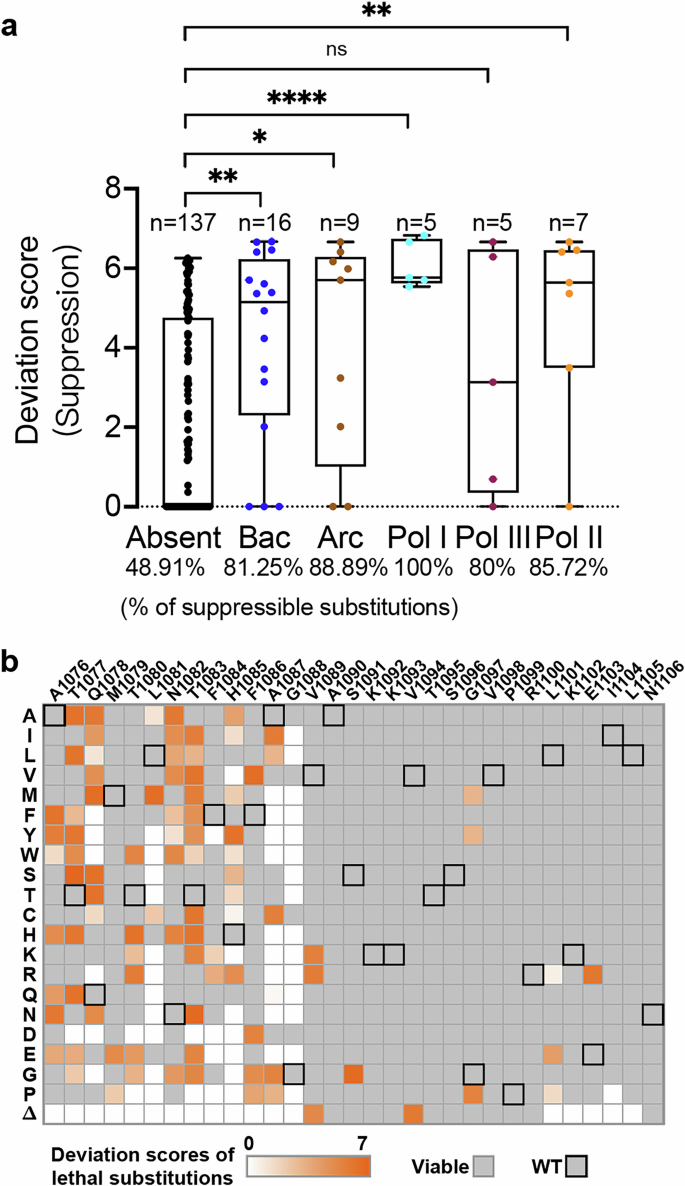 Fig. 8: Contextual epistasis shapes TL evolution.