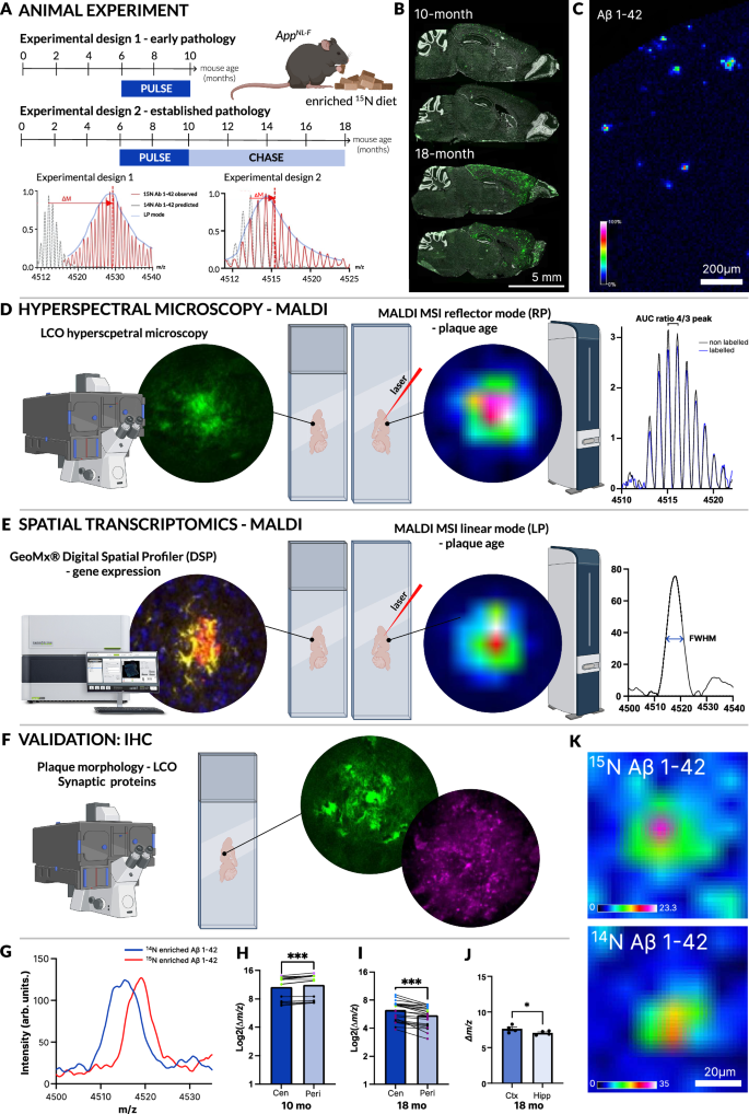 Fig. 1: iSILK delineates spatial and structural patterns of plaque formation and maturation.