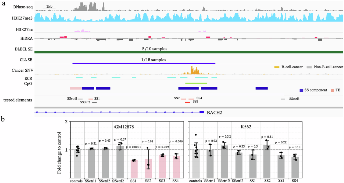 Fig. 2: Experimental validation of SSs.