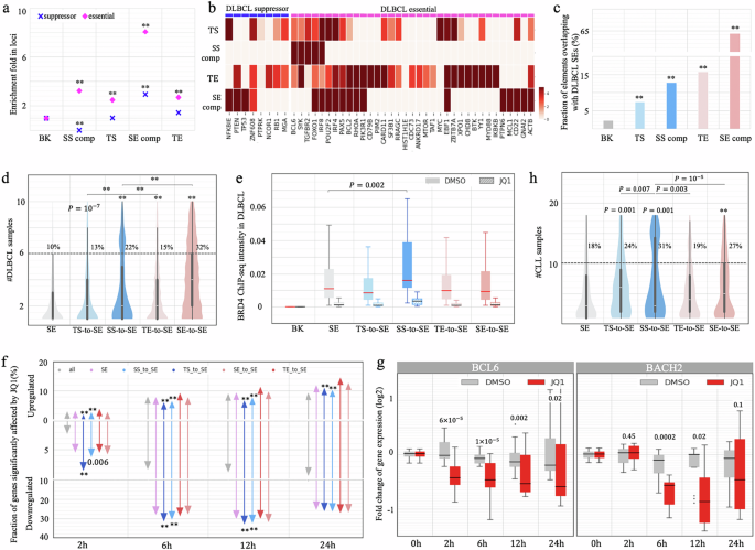 Fig. 6: Conversion of GM12878 SSs to SEs during carcinogenesis.