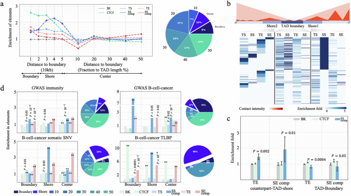 Fig. 7: Enrichment of SSs in TAD-shores.
