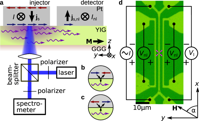 Fig. 1: Schematic of the experiment.