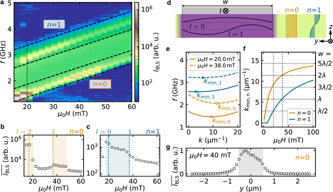 Fig. 3: Dependence of the magnon population on magnetic field.
