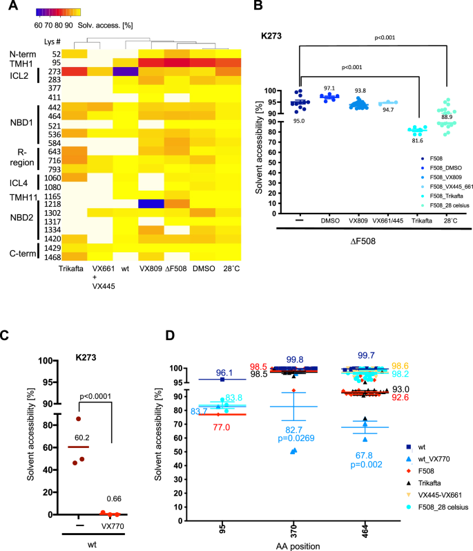 Fig. 2: Conformational changes upon correction and activation of the CFTR channel with correctors and activators.