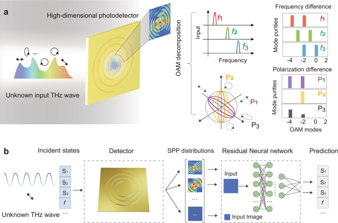 Fig. 1: Design principles of our intelligent high-dimensional photodetector.