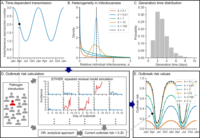 Fig. 1: Outbreak risks with time-dependent and heterogeneous transmission.