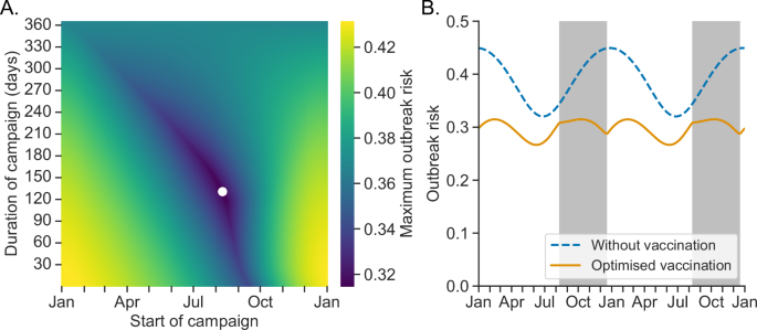 Fig. 3: Optimisation of the timing of booster vaccination campaigns.