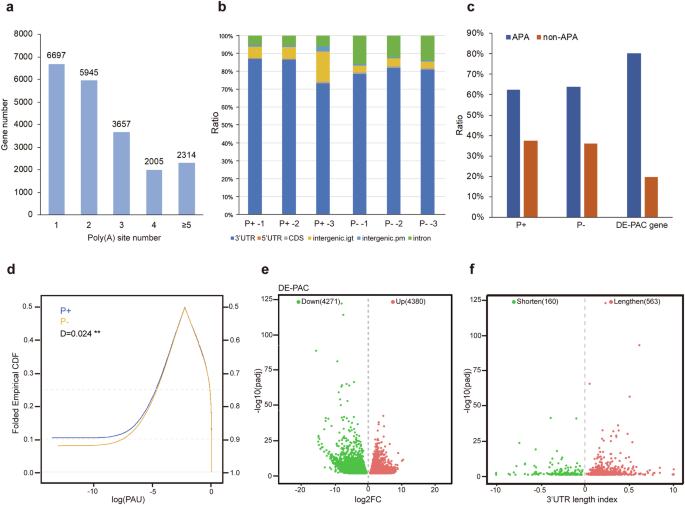 Fig. 1: Identification of Poly(A) sites regulated by Pi-starvation in tomato.