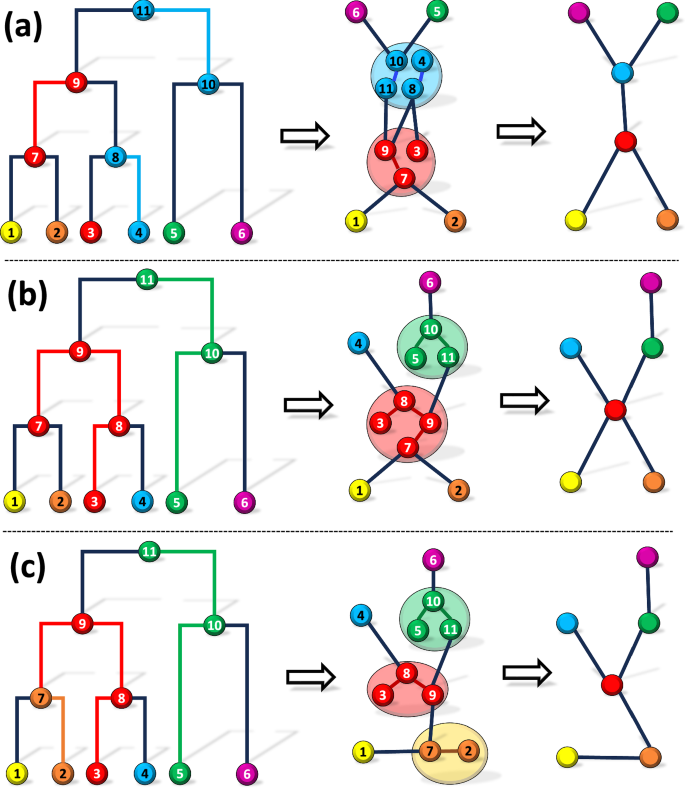 Fig. 5: Solutions for the Migration History Inference Problem under various constraints.