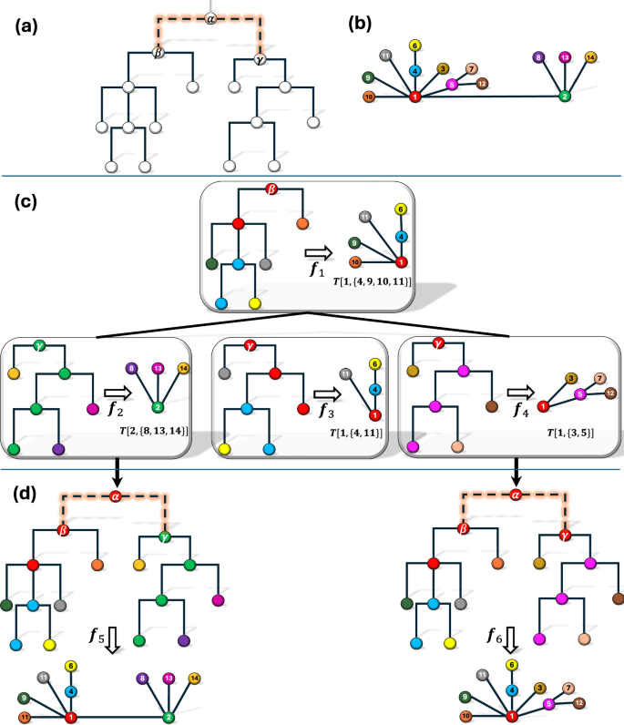 Fig. 6: Overview of the Dynamic Programming Algorithm for Detecting Convex Label-Distinctive Homomorphisms.