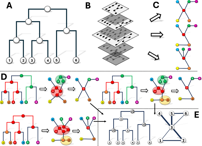 Fig. 7: SMiTH: Sampling MIgrations and Transmissions with Homomorphisms.