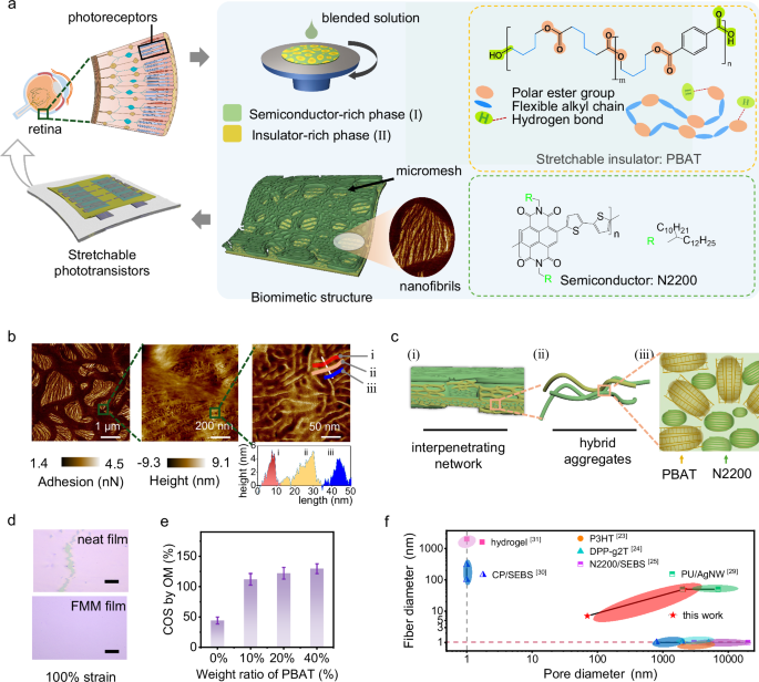 Fig. 1: Fabrication of FMM film of stretchable semiconducting polymer through incorporating semicrystalline plastic polymer.