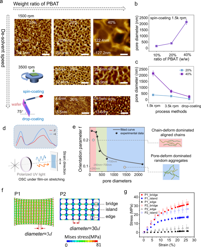 Fig. 3: Controlling film geometry towards strain-resistant morphology.