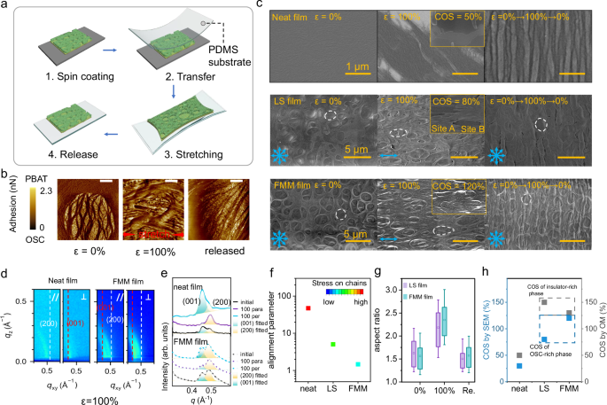 Fig. 4: Film morphology of the investigated films under varying stretching conditions.