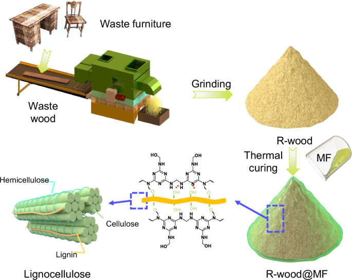 Fig. 1: Preparation of R-wood@MF.