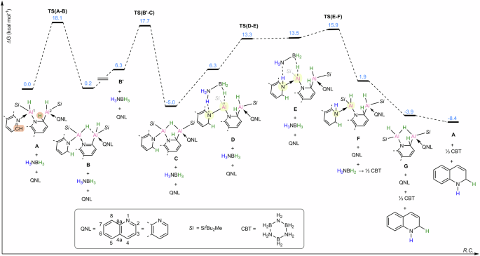 Fig. 5: Calculated reaction pathway for the proposed mechanism of the catalytic 1,2-reduction of quinoline.