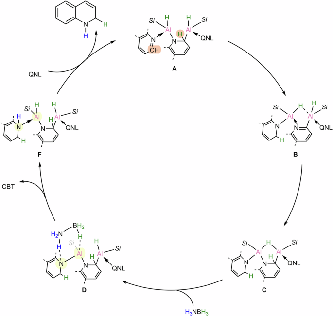 Fig. 6: The proposed catalytic cycle.
