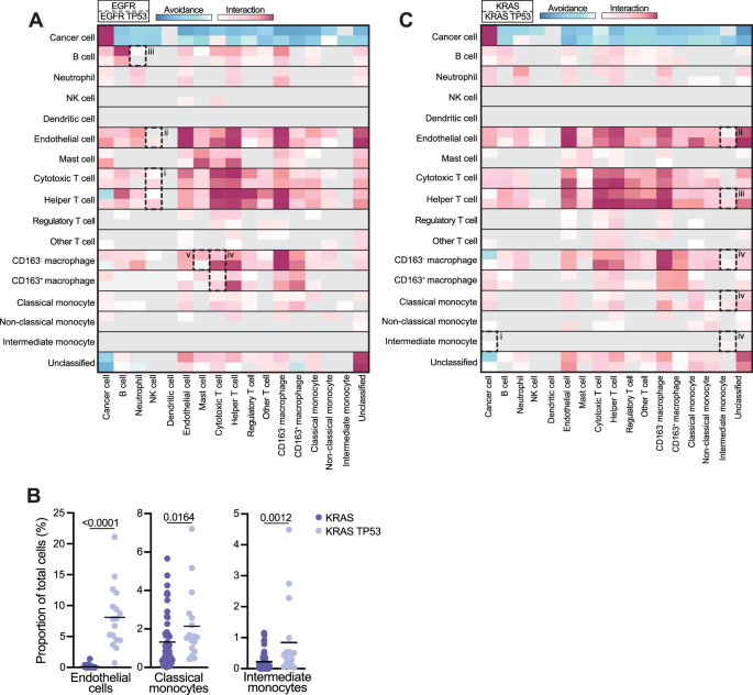 Fig. 3: TP53 co-mutations shape cell-cell interactions and avoidance patterns.