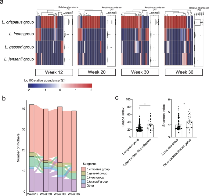 Fig. 3: Lactobacillus subgenera in the maternal vaginal microbiome during pregnancy.