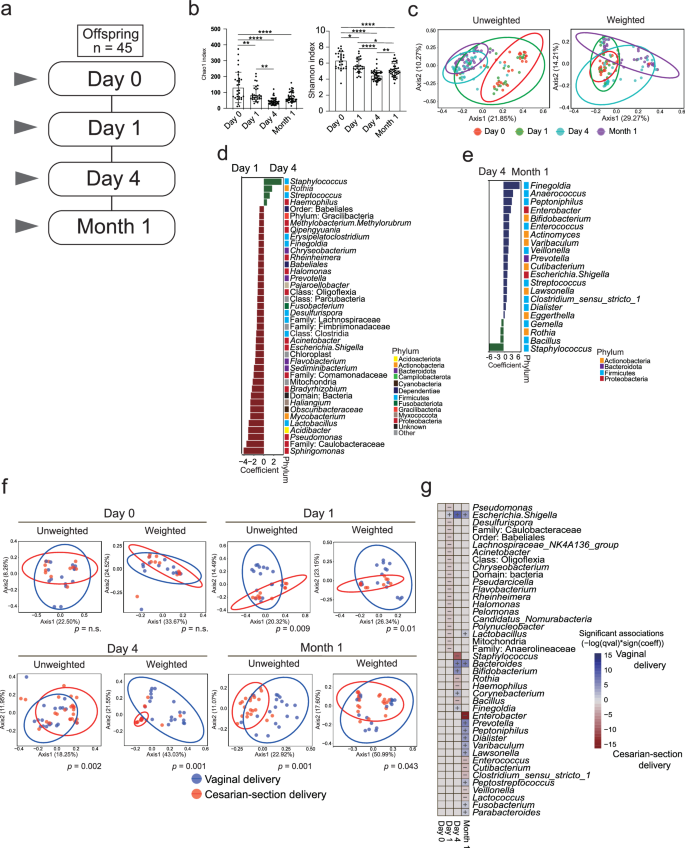 Fig. 5: Dynamics of the neonatal gut microbiome in early life.