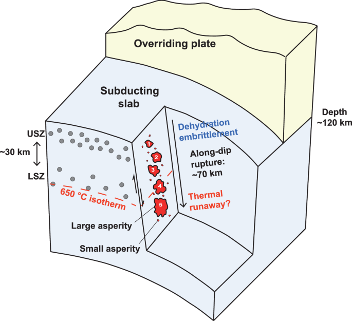 Fig. 6: Summary schematic of the intraslab rupture and mechanism transition for the Mw 7.4 event.