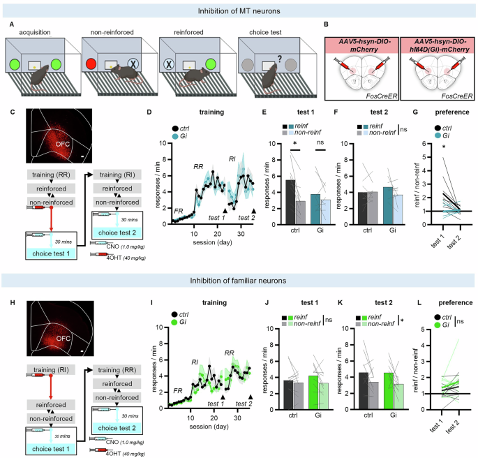 Fig. 1: Memory for novel action strategies is evident within the OFC.