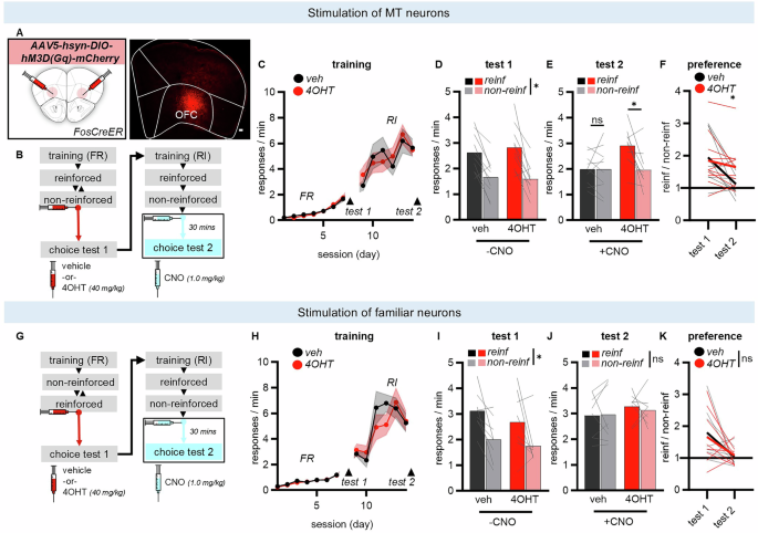 Fig. 2: Memory trace neurons exert bidirectional control over action strategies.
