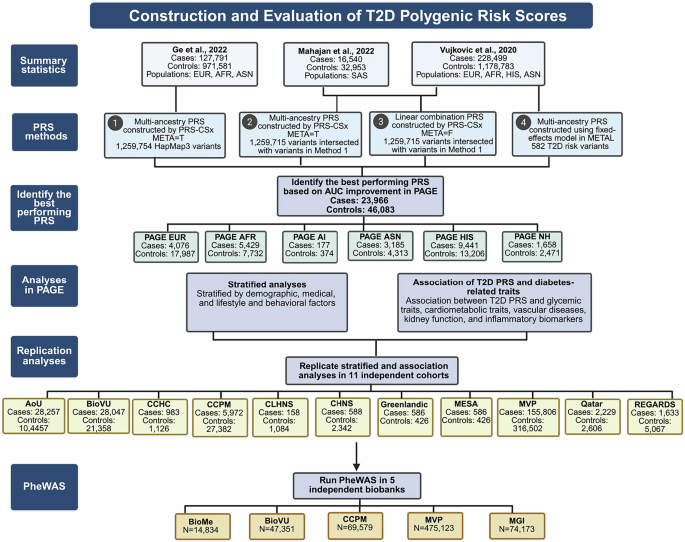 Fig. 1: Workflow of T2D PRS construction and evaluation.