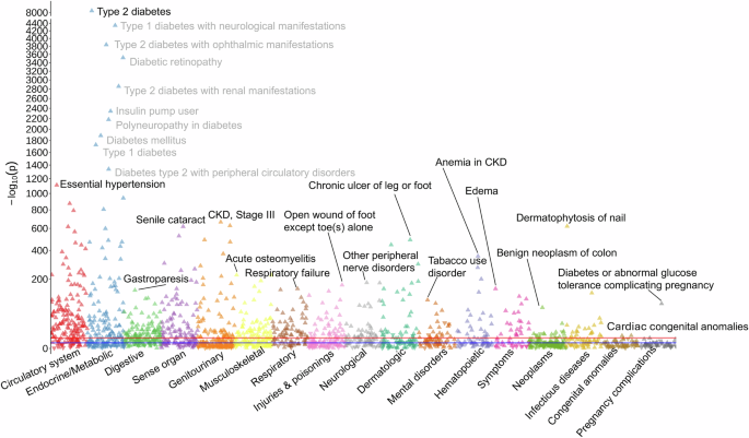 Fig. 6: T2D PRS PheWAS results meta-analyzed across all five biobanks and populations.