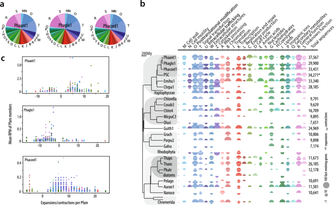 Fig. 4: Functional analysis of fast-evolving Pfam families in Phaeocystis spp. and other algal genomes.