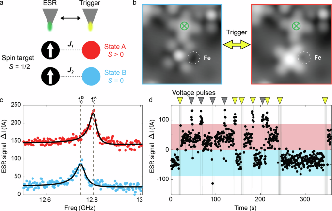 Electron spin resonance shift of a target molecular spin controlled by a neighbouring electrically switched molecular complex.